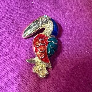 Colorful Toucan Brooch